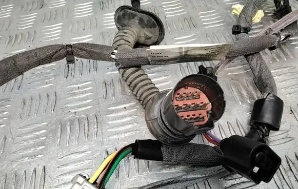 Rear door wiring loom