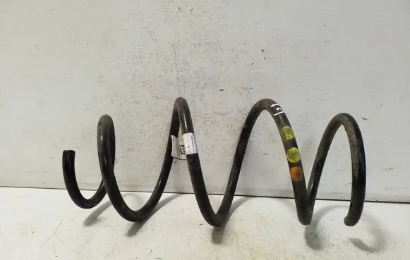 Rear coil spring