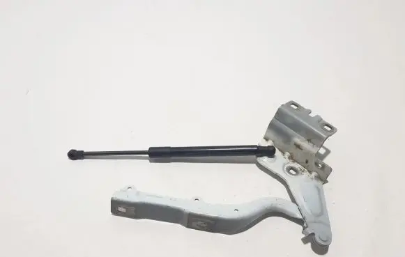 Renault Talisman Engine bonnet/hood hinges 654009209R