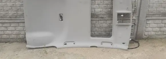 Lexus RX 300 Headlining 633104818