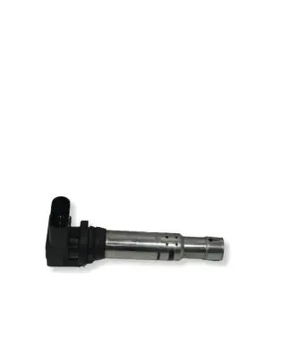 Volkswagen PASSAT B6 High voltage ignition coil 036905715E