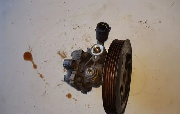 Fiat Punto (188) Power steering pump