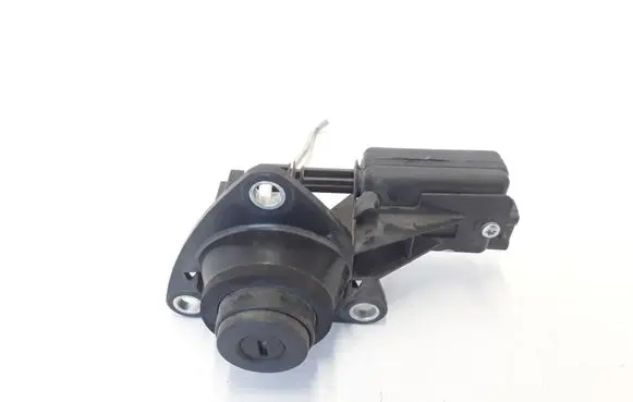 Dacia Duster Tailgate exterior lock 906062426R