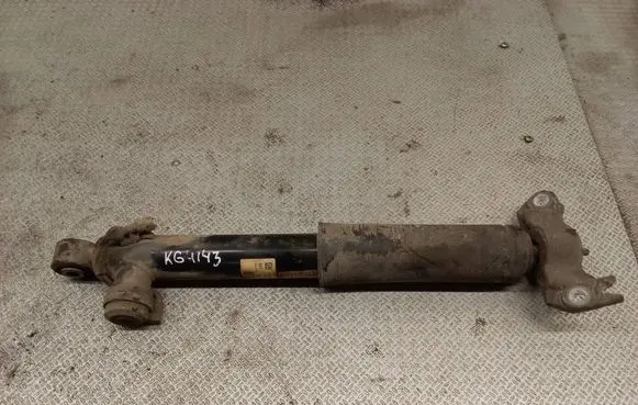 Opel Insignia A Rear shock absorber/damper 13319757