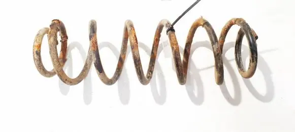 Honda Civic Rear coil spring