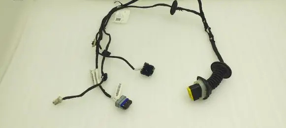 Rear door wiring loom