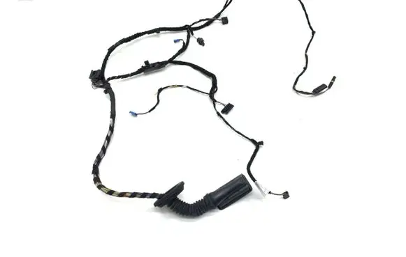 BMW X1 F48 F49 Front door wiring loom 8797573 879757301