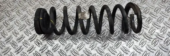 Rear coil spring