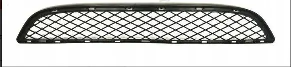 BMW X6 E71 Front bumper lower grill