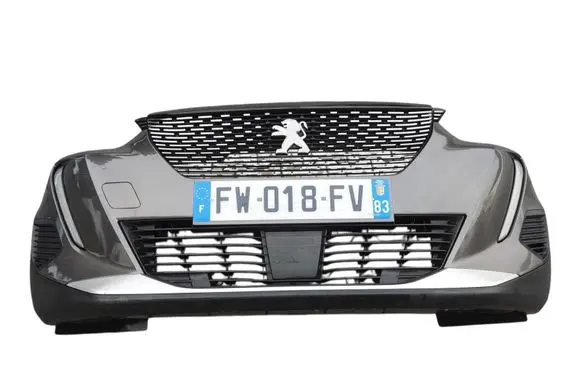 Peugeot 307 Front piece kit 9828077580