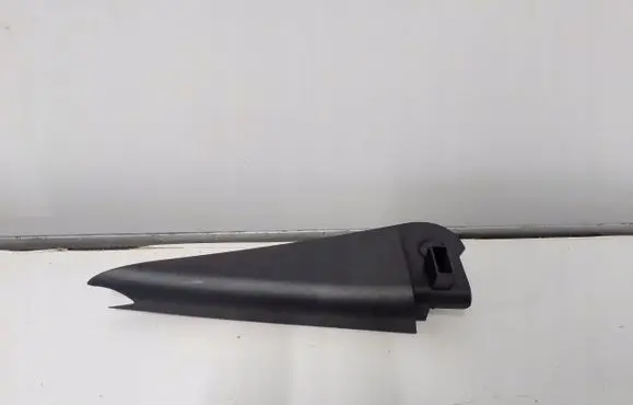 Other rear door trim element