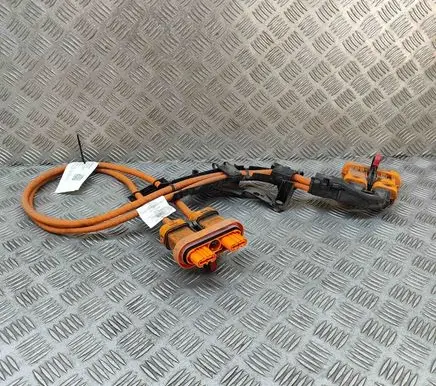 Skoda Enyaq iV Other wiring loom 1EA971015T