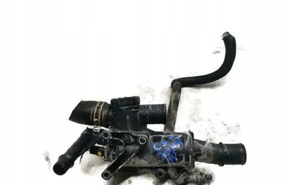 Thermostat/thermostat housing