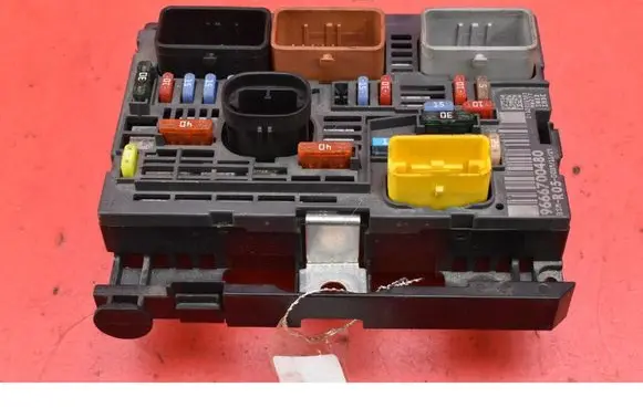 Citroen Berlingo Fuse box set 9666700480