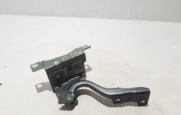 Renault Scenic E-Tech V Engine bonnet/hood hinges 654013661R