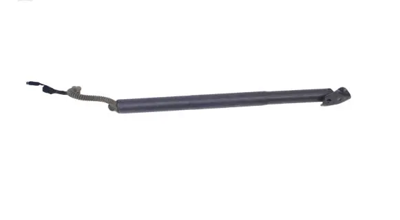 Mini Cooper Countryman R60 Tailgate/trunk strut/damper 7405763