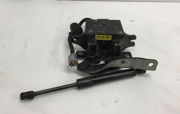 Hyundai Santa Fe Engine bonnet/hood hinges 811612W000 791602W000