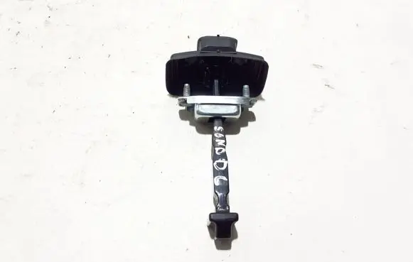 Dacia Sandero III Rear door check strap stopper 824308415R