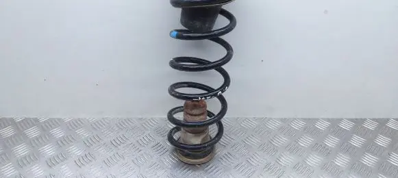 Citroen Berlingo Rear coil spring
