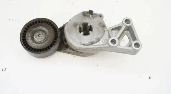 Volkswagen Golf Plus Timing belt/chain tensioner 06A903315E