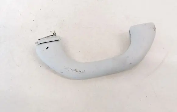 Front interior roof grab handle