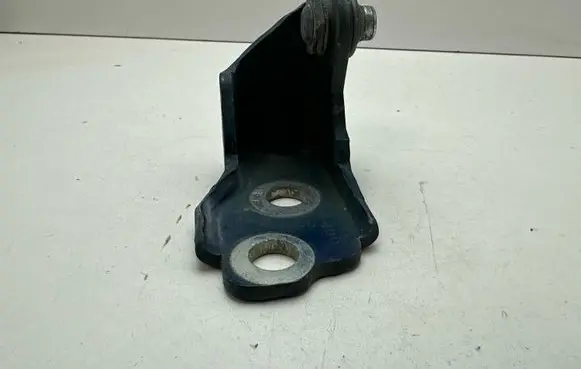 Ford Mustang VI Front door lower hinge 