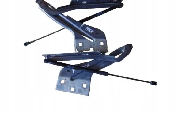 Jaguar F-Pace Engine bonnet/hood hinges 551456