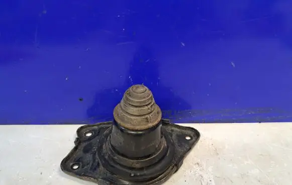 Lexus RX 450H Rear shock absorber/damper 4806548010