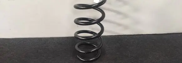 Rear coil spring
