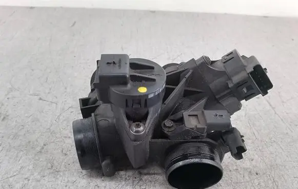 Throttle body valve