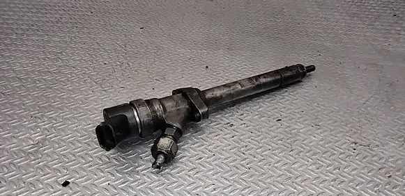 Peugeot 607 Fuel injector 0445110036
