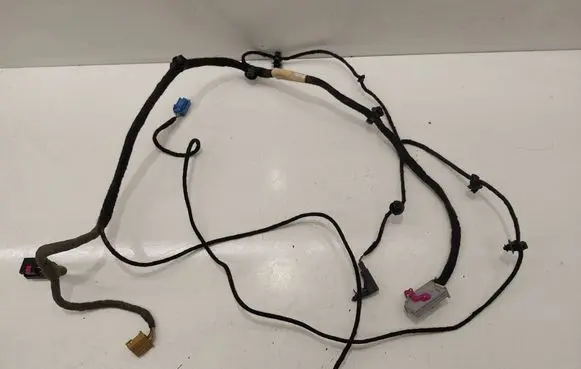 Volkswagen PASSAT B6 Front door wiring loom 3C1971557AP TAB016427BA