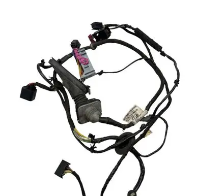 Front door wiring loom