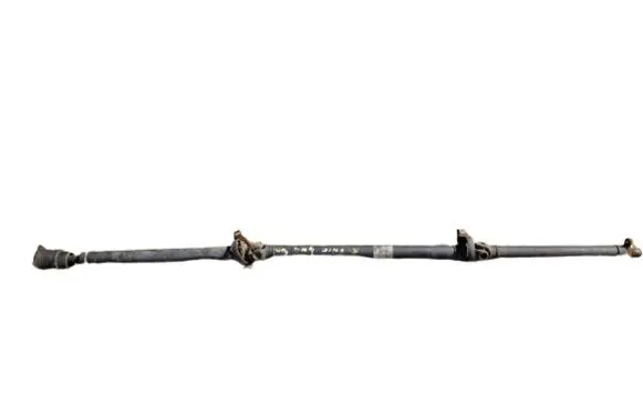 Renault Scenic RX Drive shaft (set)