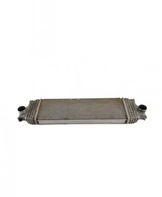 Suzuki Grand Vitara II Intercooler radiator 96525