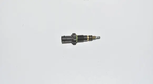 BMW X3 G01 Coolant temperature sensor 7797957 13627797957