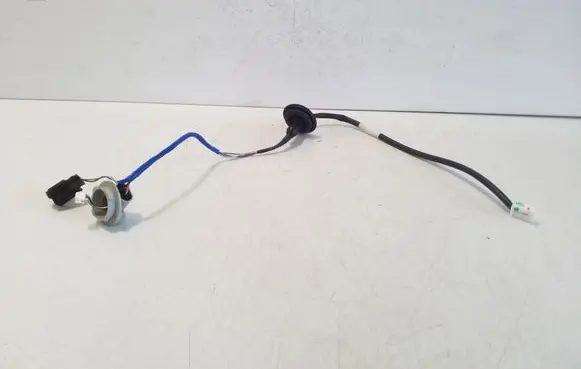 Toyota bZ4X Other wiring loom