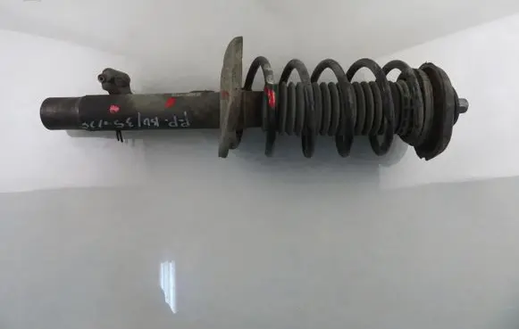 Peugeot 207 Front shock absorber with coil spring