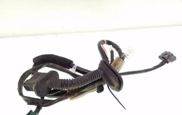 Nissan Leaf I (ZE0) Rear door wiring loom 241263NA0A