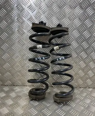 Rear coil spring