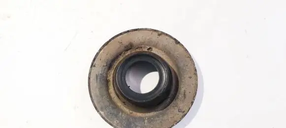 Coil spring mount