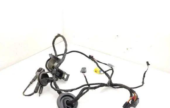 Audi Q5 SQ5 Front door wiring loom 8R0971029AQ TAB010766TR