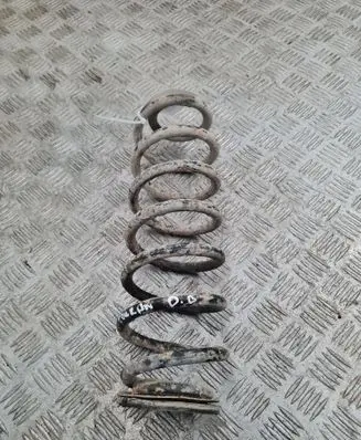 Rear coil spring