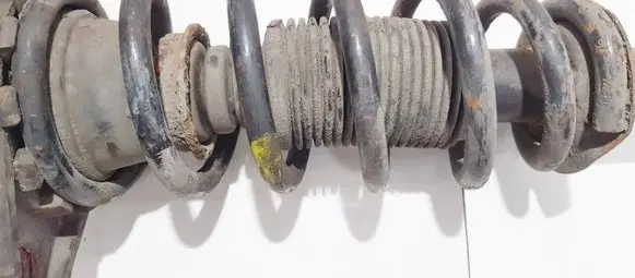 Nissan Primera Rear coil spring
