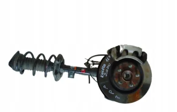 Renault Koleos II Front wheel hub spindle knuckle 7841256325