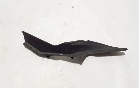 Toyota Hilux (AN120, AN130) Wiper trim 538660K100