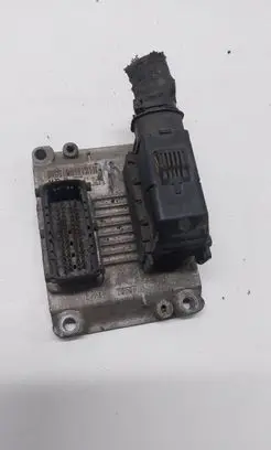 Opel Signum Engine control unit/module 1039S01934