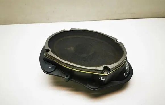 Chrysler 300 - 300C Front door speaker 05059067AB