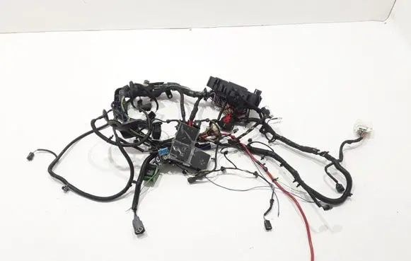 Other wiring loom