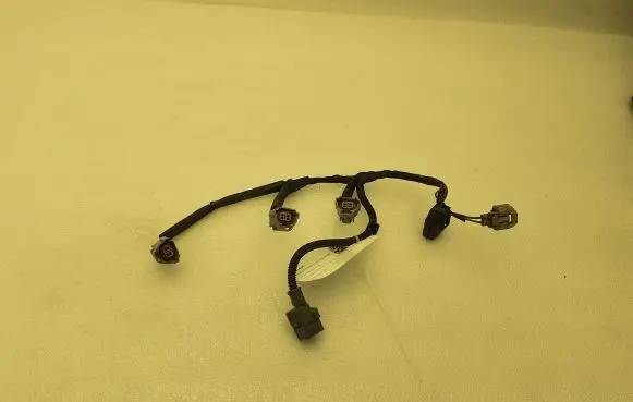 Nissan Qashqai Fuel injector wires 
